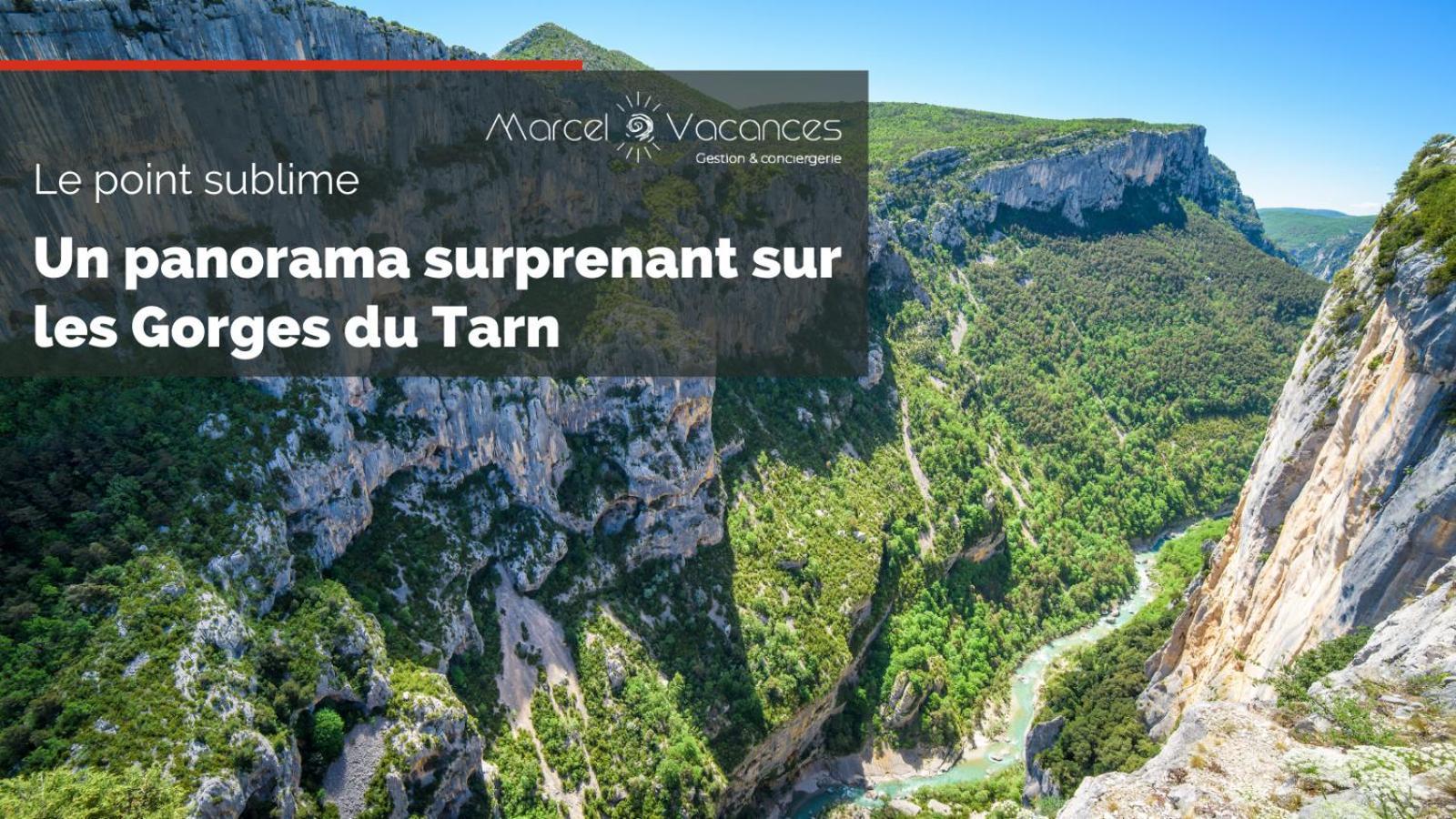 Gorges Du Tarn Gite En Pierres Avec Terrasse Quezac  المظهر الخارجي الصورة