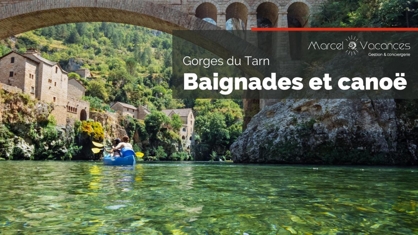 Gorges Du Tarn Gite En Pierres Avec Terrasse Quezac  المظهر الخارجي الصورة